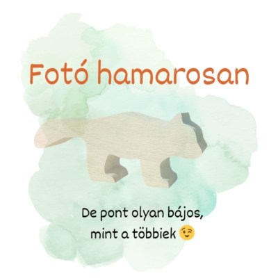 Image for choice number 42