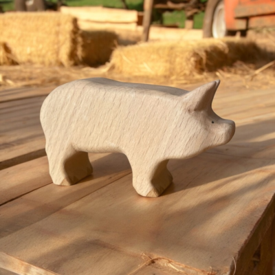 Image for choice number 28