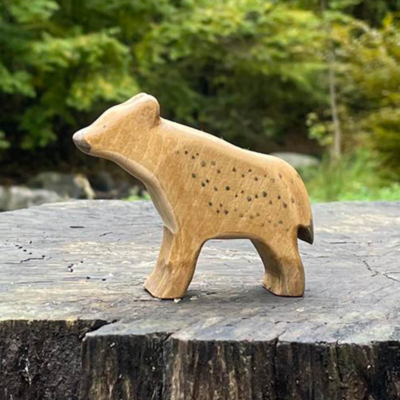 Image for choice number 47