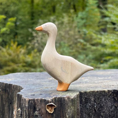 Image for choice number 36