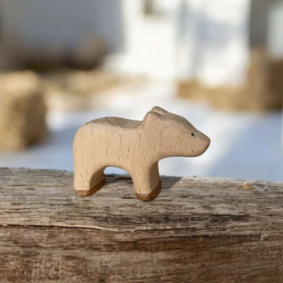 Image for choice number 29