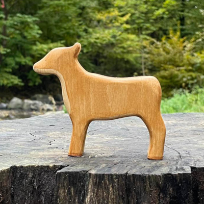 Image for choice number 13