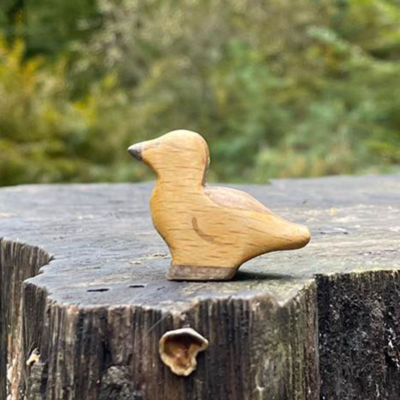 Image for choice number 24