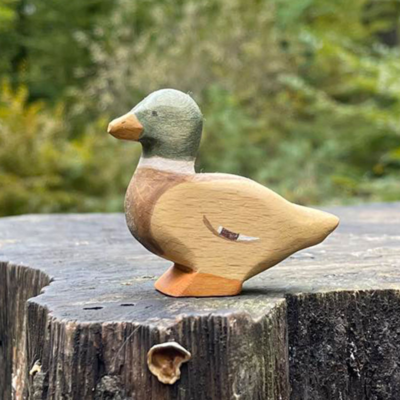 Image for choice number 22