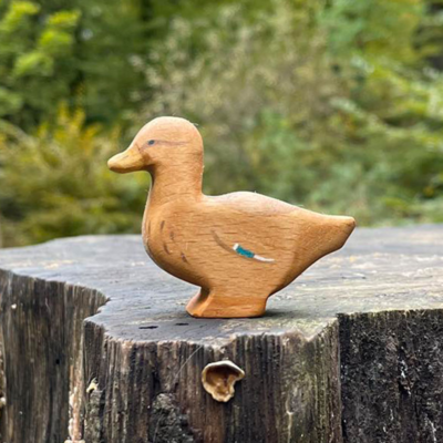 Image for choice number 23