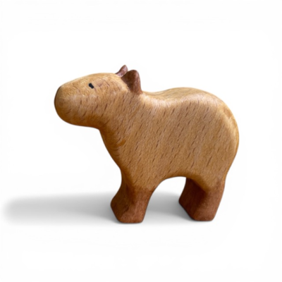 Image for choice number 65