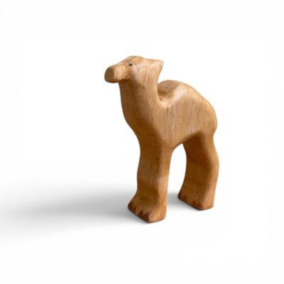 Image for choice number 61