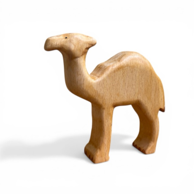 Image for choice number 59